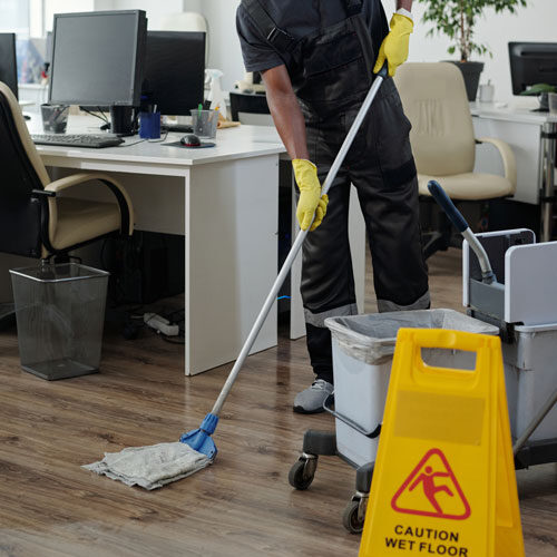 LakeMICS-Janitorial-Services